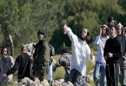 الاحتلال يخوض "حربًا شاملة" في الضفة لفرض الضم والتهجير القسري