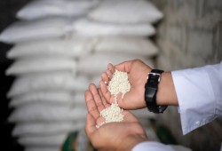 قفزة أسعار الغاز 81% تضرب مصانع الأسمدة وترفع السوق المحلية إلى مستويات قياسية