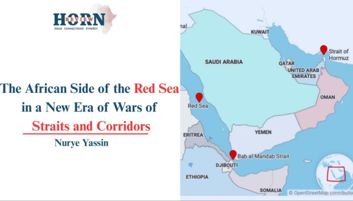 هورن ريفيو || الجانب الإفريقي من البحر الأحمر في عصر حروب المضائق والممرات