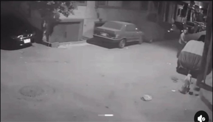 بالفيديو: مدير بنك يفتح النار في أحد شوارع أسيوط للتخلص من كلب وسط ترويع السكان