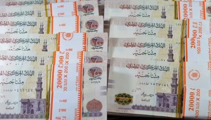 سباق شهادات الادخار في مصر يكشف عطش البنوك للسيولة ويحوّل مدخرات المصريين إلى خزّان تمويلٍ دائم للحكومة