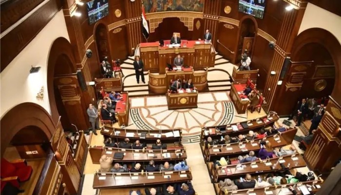 مجلس الشيوخ يفتح ملفات المراهنات والبطالة والاتصالات والمعاشات بينما الحكومة تواصل تصدير الأزمات