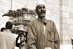 أرقام الأجور في موازنة 2026-2027 تكشف فخ التضخم وخسارة القوة الشرائية تحت وعود الحكومة الكاذبة