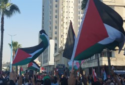 عامان ونصف من الحبس.. معتقلو التضامن مع غزة بالإسكندرية يواجهون مصيرًا غامضًا 