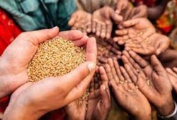 موازنة بلا صحة أو تعليم تكشف فجوة الدستور وتضع الفقراء أمام فاتورة الديون ونقص الغذاء