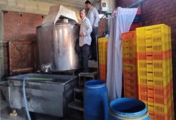 ضبط ألبان قاتلة بمصنع في أسيوط يكشف فشل الرقابة وخطر الكيمياء على غذاء الفقراء