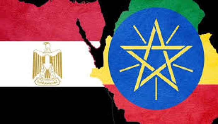 ذا ناشيونال || مصر تقود حملة دبلوماسية مكثفة في إفريقيا لعزل إثيوبيا ومواجهة النفوذ الإسرائيلي