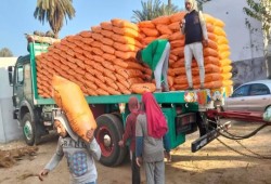 أسعار الأسمدة في مصر تقفز  للمرة الثالثة خلال إبريل إلى 38 ألف جنيه والغاز والصادرات يواصلان الضغط على الفلاحين