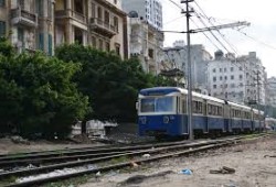 بعد إزالة ترام الإسكندرية.. يد العبث تطال اﻷﺷﺟﺎر المحيطة به  