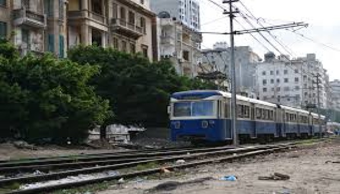 بعد إزالة ترام الإسكندرية.. يد العبث تطال اﻷﺷﺟﺎر المحيطة به  