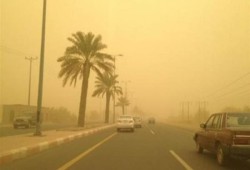 عودة أجواء الشتاء لشمال مصر.. أمطار رعدية ورياح وشبورة كثيفة تضرب الطرق