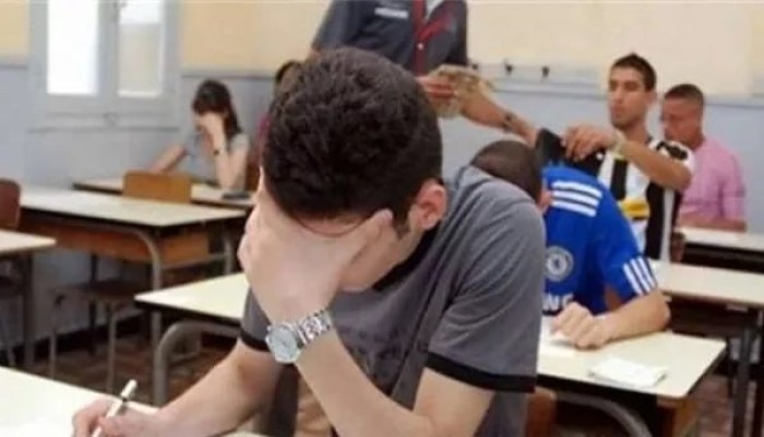 النماذج الاسترشادية للثانوية العامة 2026.. خطوات التحميل وموعد انطلاق الامتحانات