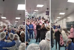 إضراب متصاعد في “أمون للأدوية” بالعبور.. العمال يطالبون بالأرباح ورفع الأجور وإقالة الإدارة (فيديو)