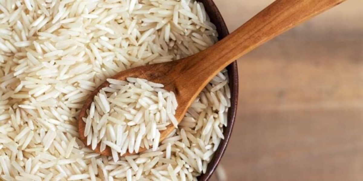 مستقبل مصر يحتكر تصدير الأرز بتكليفات من السيسي ويحرم ملايين المصريين من سلعة الغذاء من أجل حفنة دولارات