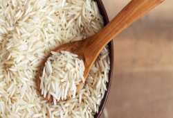 مستقبل مصر يحتكر تصدير الأرز بتكليفات من السيسي ويحرم ملايين المصريين من سلعة الغذاء من أجل حفنة دولارات