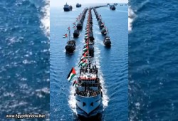 أسطول غزة الدولي يضم شقيقة رئيس أيرلندا ضمن المتجهين لفك الحصار