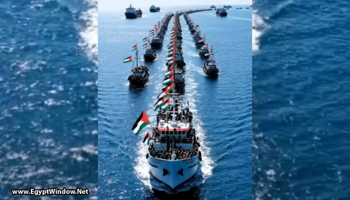 أسطول غزة الدولي يضم شقيقة رئيس أيرلندا ضمن المتجهين لفك الحصار