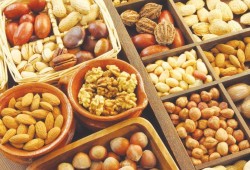 تكلفة هرمز تصل إلى رفوف المصريين والحكومة تترك الغذاء المستورد تحت ضغط الشحن والدولار