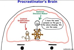 لماذا يماطل المسوّفون؟