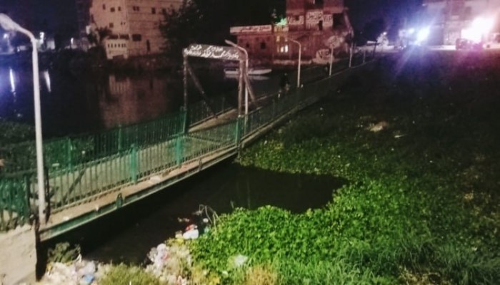 ورد النيل يحاصر بحر شبين في الغربية ويكشف عجز الحكومة عن حماية المياه والثروة السمكية