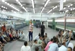 إضرابات أمون والعامرية تكشف فشل الحكومة في تحقيق عدالة الأجور وأكذوبة الحد الأدنى