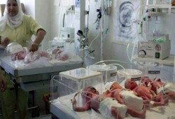مجانية أول ولادة طبيعية تكشف فشل حكومة السيسي في مواجهة بيزنس القيصرية