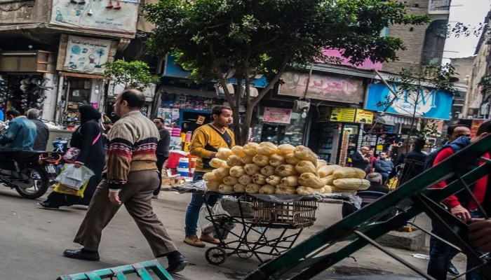 التموين تحت مقصلة الأسعار ومدبولي يدفع نحو إنهاء الدعم السلعي وسط موجة غلاء تضرب الغذاء