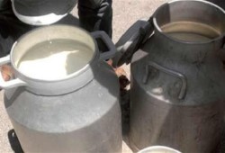 جشع التجار واستخدام الفورمالين باللبن في المنيا يكشف غياب الرقابة وسوقًا للأغذية السامة