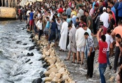 مصر تعيد أكثر من 1379 مهاجرًا من ليبيا وسط تزايد وفيات الهجرة غير الشرعية