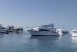 هيمنة جهاز مستقبل مصر على سياحة شرم الشيخ تفتح باب الجباية.. و أصحاب مراكب الغطس يستغيثون