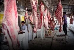 موسم بلا أضاحي.. أسعار اللحوم تفضح فشل الحكومة في توفيرها للمواطنين قبل العيد