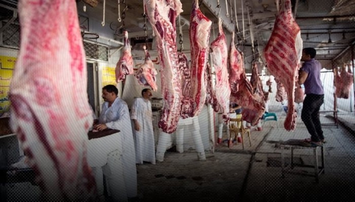 موسم بلا أضاحي.. أسعار اللحوم تفضح فشل الحكومة في توفيرها للمواطنين قبل العيد
