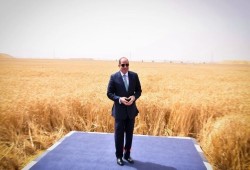 تكلف أكثر من 800 مليار جنيه.. الدلتا الجديدة تكشف كذب وعود السيسي واعترافه بصعوبة الاكتفاء الغذائي