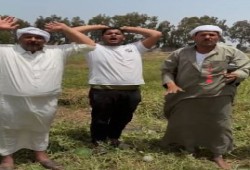كارثة تقاوي البطيخ في مصر.. مزروعات تالفة وفلاحون يصرخون من خسائر فادحة