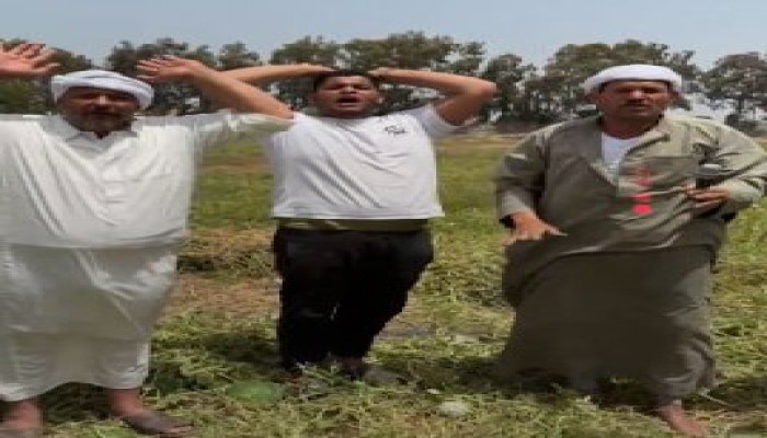 كارثة تقاوي البطيخ في مصر.. مزروعات تالفة وفلاحون يصرخون من خسائر فادحة