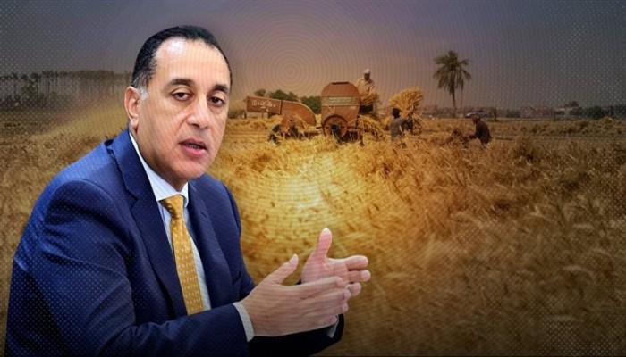 سعر توريد القمح يشعل غضب الفلاحين في مصر.. 2500 جنيه للأردب لا تكفي أمام تكلفة الفدان