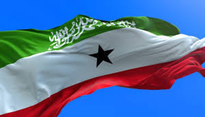 سكسافي ميديا|| هذا هو السبب الحقيقي لرفض مصر دولة أرض الصومال 