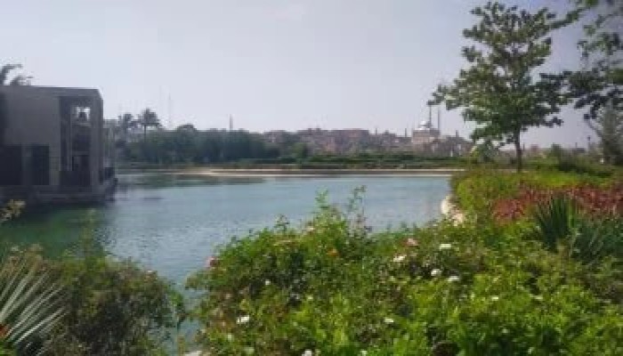 عيد الأضحى في مصر يفضح فجوة المال.. أضاحي للفرجة وبيوت محاصرة بالغلاء
