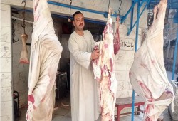 أسعار الأضاحي في مصر تحاصر العيد.. الحكومة تترك المواطنين أمام صكوك باهظة ولحوم بعيدة عن جيوب الفقراء