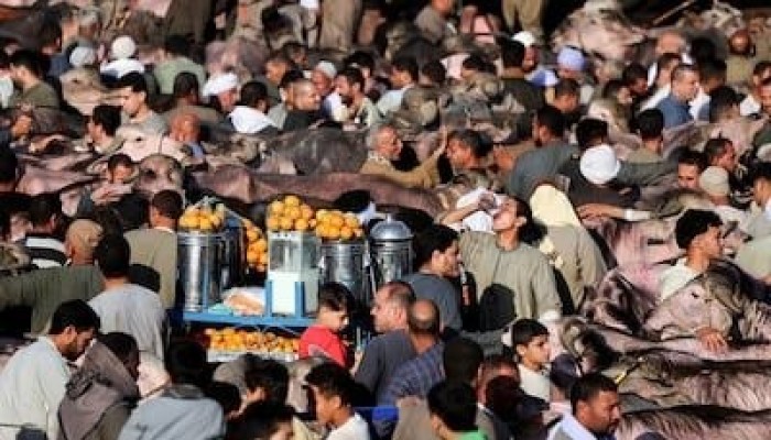 ذا ناشيونال || ارتفاع أسعار الأضاحي يدفع المصريين إلى تقليص شعائر عيد الأضحى