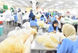 تحديات صناعة أجهزة المستلزمات الطبية بمصر بين المستورد وغياب التوطين ومحفزات الحكومة
