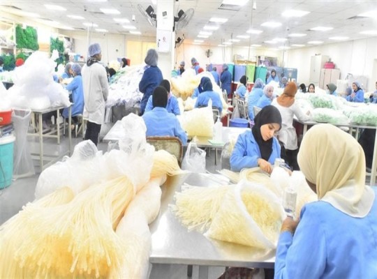 تحديات صناعة أجهزة المستلزمات الطبية بمصر بين المستورد وغياب التوطين ومحفزات الحكومة