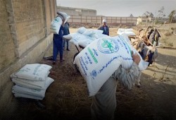 قرار وزير الزراعة بإلغاء دعم الأسمدة يضرب المنتجات المصرية.. الموالح والبنجر بين سوق حرة مكلفة وصادرات مهددة
