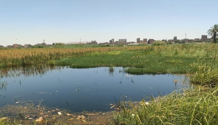 ارتفاع منسوب المياه يغرق جزر طرح النيل ويحاصر المنازل في قنا