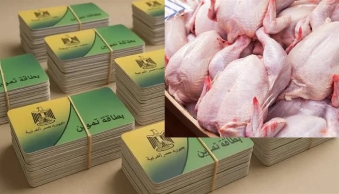 الفراخ بدل عيش التموين.. الدعم النقدي تحت مقصلة الغلاء وسخرية المصريين