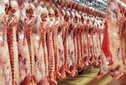 أسعار اللحوم تواصل الصعود بالأسواق المصرية.. الضاني يسجل 550 جنيها والبتلو يقفز 30 جنيها