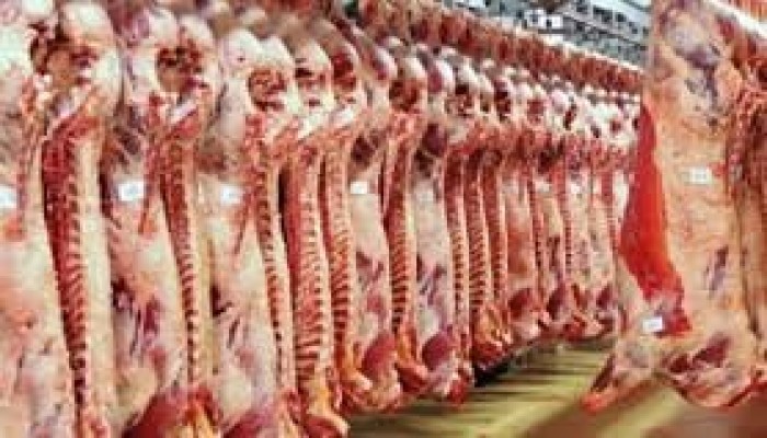 أسعار اللحوم تواصل الصعود بالأسواق المصرية.. الضاني يسجل 550 جنيها والبتلو يقفز 30 جنيها