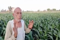 مصر التي لا يعرفونها