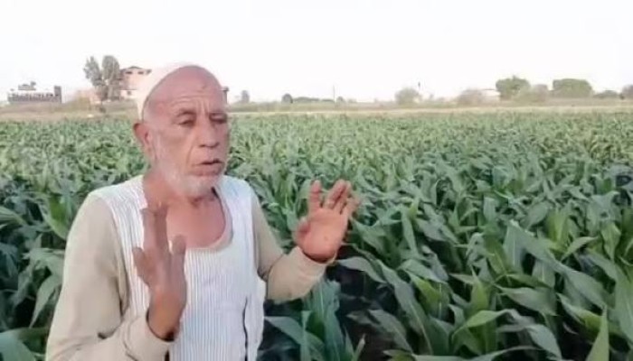 مصر التي لا يعرفونها