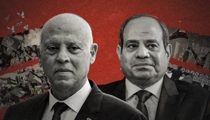 المنصة || لعنة الربيع العربي بين تونس ومصر: من أمل الثورة إلى انكماش الحلم